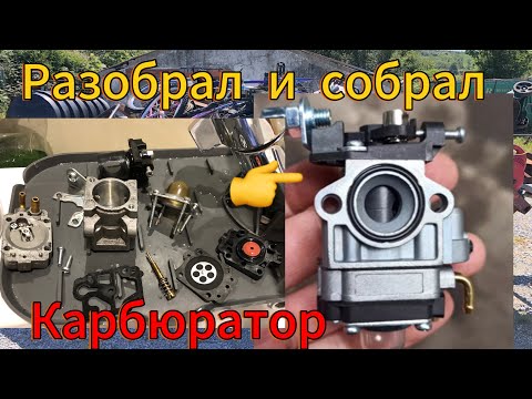 Видео: Что я нашел внутри Карбюратора от триммера ?Прочистил и собрал ,заведется?