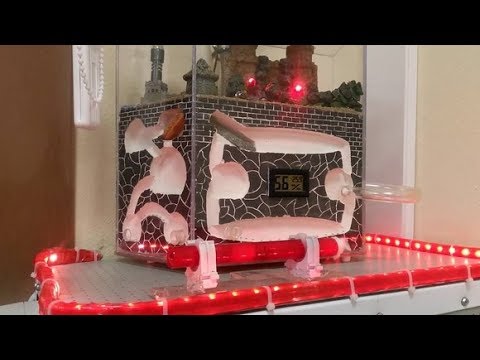 Видео: Проблемы самодельного формикария.