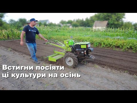 Видео: Обов'язково ТРЕБА посіяти після ЧАСНИКУ та ЦИБУЛІ ці сидерати!