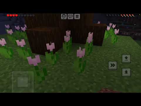 Видео:  Играем в Minecraft | Уровень выживания