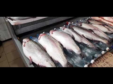 Видео: Анапа.Вост.рынок.Судак у РОМЫ