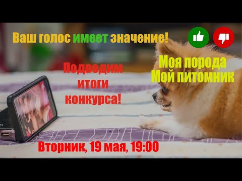 Видео: Подводим итоги конкурса! Моя порода - Мой питомник.