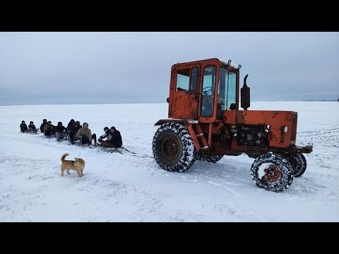 Видео: Будова заморожена🥶Трактор не потягнув 10 санок🙆Катаю дітвору на санках 😄МАЛДАВАН ЗВІР.
