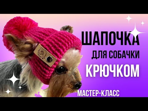 Видео: Стильная шапка с помпоном для собаки крючком: Подробный мастер-класс по вязанию