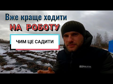 Видео: ТОП-3 Культури,які НЕ ЗАРОБЛЯЮТЬ у Відкритому Вирощуванні на Продаж