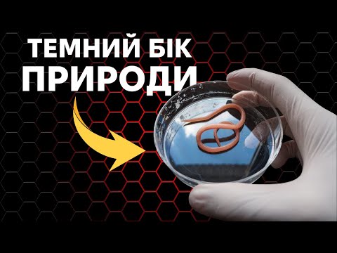 Видео: Як паразити маніпулюють свідомістю?