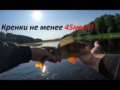 Видео: За ГОЛАВЛЕМ с КРУПНЫМИ КРЕНКАМИ!!!! Ловля голавля, щуки и окуня на кренки. Забродная рыбалка!