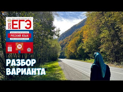 Видео: Разбор варианта №3 ЕГЭ по русскому языку 2025 | Сборник Дощинского, Цыбулько (36 вариантов)