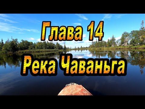 Видео: ГЛАВА 14: РЕКА ЧАВАНЬГА. Кольский полуостров. Афанасия-Поной-Варзуга-Стрельна-Чаваньга-Кица.