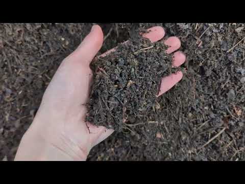 Видео: Как превратить листья в компост - Юрий Днестрянский (часть 1)