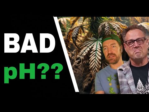Видео: Исправьте плохой уровень pH и ускорьте рост каннабиса с помощью этого простого трюка