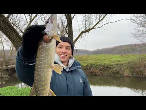 Видео: Вертушка Mepps Aglia оригінал vs копія з Аліекспрес. Яка краща?  Закриття сезону по спінінгу 2025