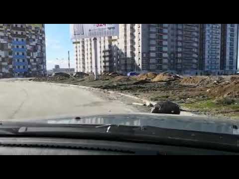 Видео: Экзамен на Левенцовке ч. 2