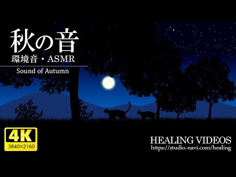 Видео: Звуки окружающей среды, ASMR] Комфортные звуки осени / BGM для работы, учебы и сна.