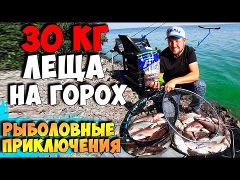 Видео: Ухх! Вот это рыбалка! 30 КГ ЛЕЩА НА ГОРОХ! Ловля леща на фидер осенью! Рыболовные приключения 16!