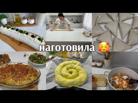 Видео: ГОТОВЛЮ самсу  ВПРОК/ бисквитный РУЛЕТ/ БУРМА/ ЗАПЕКАНКА НА УЖИН 