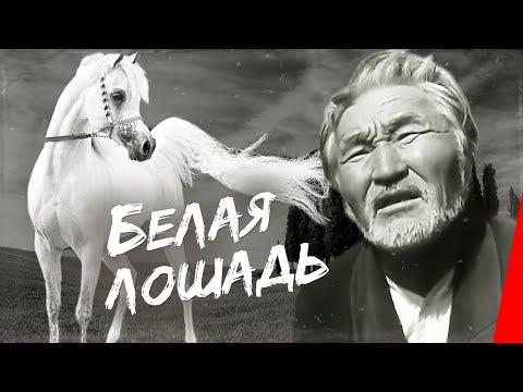 Видео: Белая лошадь (1966) фильм