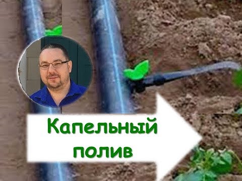 Видео: Капельное орошение в теплице. Как поливать в теплице?