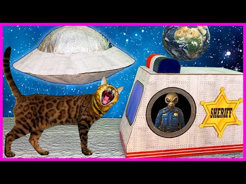 Видео: КОШАЧИЙ КВЕСТ 🐈 | ПОБЕГ ИЗ КОСМИЧЕСКОЙ ТЮРЬМЫ В РЕАЛЬНОЙ ЖИЗНИ