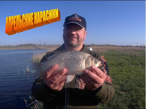 Видео: ОТЛИЧНЫЙ КЛЕВ АПРЕЛЬСКИХ КАРАСЕЙ. Если не клюет - лови на МИНИ-БОЙЛЫ DONBASS FISHING!