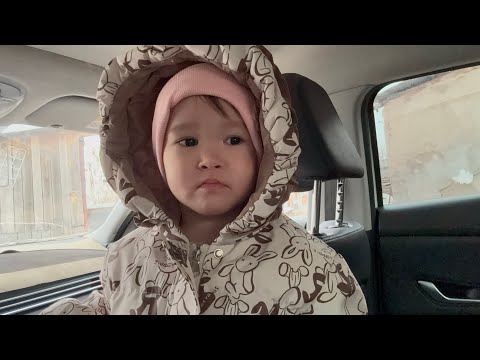 Видео: одное тоже каждый день…