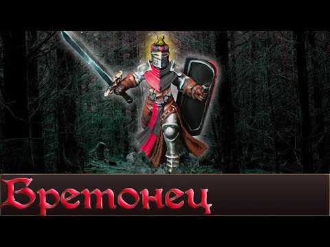 Видео: Бретонец, Полная История  (WarhammerFB)