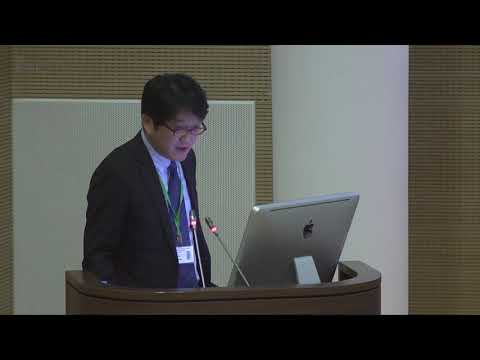 Видео: Лекция С.Сакамото (г. Токио, Япония)