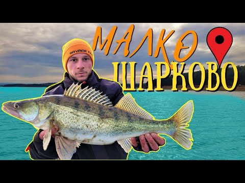 Видео: Шарковски ВАМПИРИ-ДЖИГ РИБОЛОВ на БЯЛА РИБА.