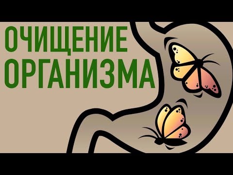 Видео: ОЧИЩЕНИЕ ОРГАНИЗМА - процедуры, рецепты, тонкости (1 часть)