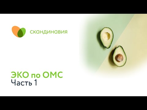 Видео: ЭКО по ОМС. Часть 1