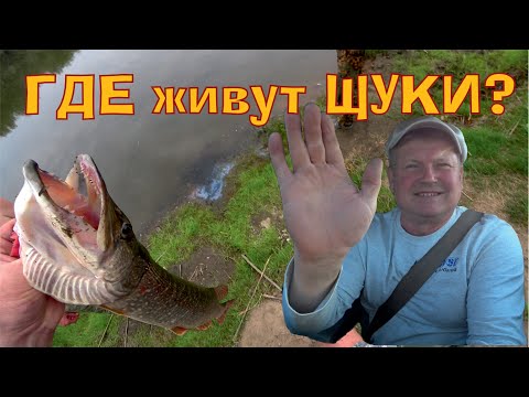 Видео: Где живут Щуки вниз по Пышме #отшельник, #рыбалка, #IceHouse