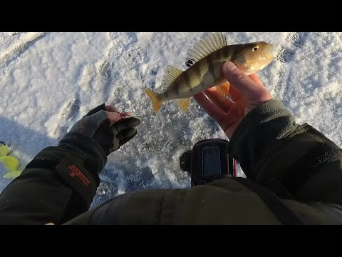 Видео: Первый лёд на оз. Нарочь! Поиск стайного окуня!