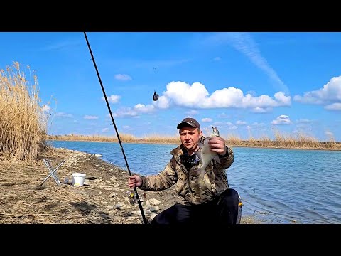 Видео: Шамайка пришла на Маныч, ловлю рыбу на реке!!!