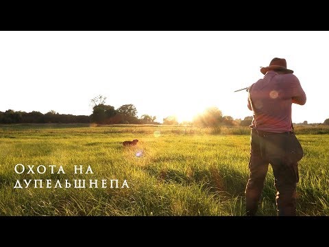 Видео: Охота на дупеля. Мечты сбываются!