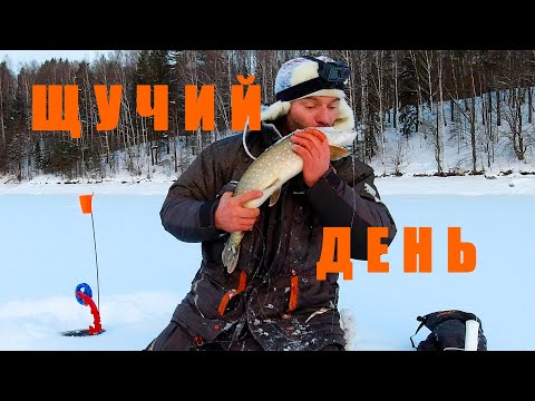 Видео: Наконец-то попал на ЩУЧИЙ день! Ловля щуки на жерлицы. Зимняя рыбалка на красивой реке!