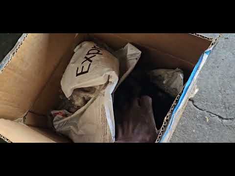 Видео: 2006/2007 Mercedes S 500 S550 Tcm Renew Нет связи Что вам нужно знать?