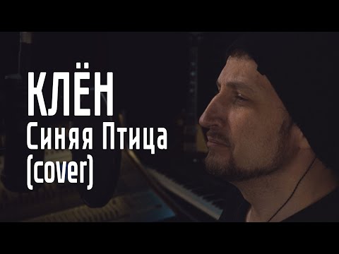 Видео: Клён - Синяя Птица (cover)