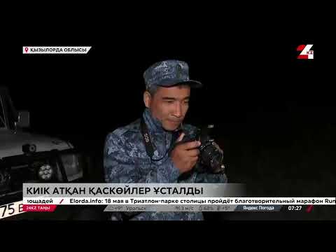 Видео: Киік төлдейтін кезде адам ғана жауыздыққа барады