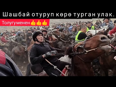 Видео: Базар Коргондогу Аламан Улак толугу менен.