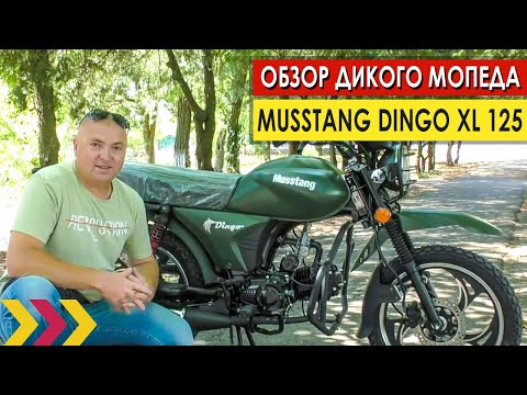 Видео: Обзор мопеда Musstang Dingo 125 XL. Первые впечатления. Посадка.