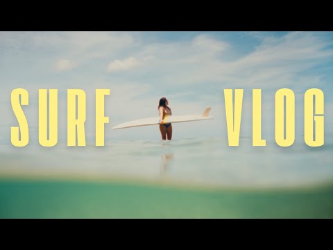 Видео: день из моей жизни | пробую новую настройку плавников 🤙