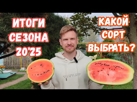 Видео: Какой сорт арбуза лучше ? Подводим итоги сезона 20'25. 