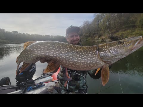 Видео: От таких поклевок можно без руки остаться!