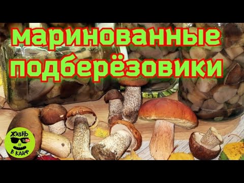 Видео: Маринованные грибы(подберëзовики)в автоклаве Вейн.Вкусный рецепт