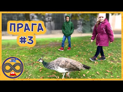 Видео: Прага: резиденция президента, почетный караул, Пражский Град, Страхов монастырь, соборы и дворцы