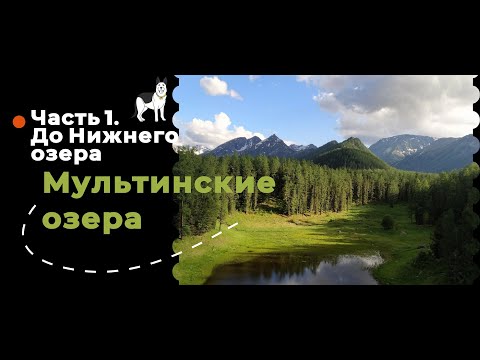 Видео: Мультинские озера (Алтай) с собакой. Идем до Нижнего Мультинского озера. ЧАСТЬ 1.