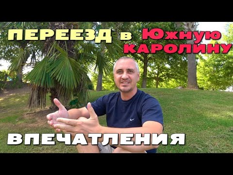 Видео: Наши впечатления 3 недели спустя/ Когда в школу? Побывали в школах, в шоке от расписания США влог