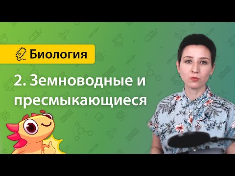 Видео: 2. Земноводные и пресмыкающиеся | Зоология позвоночных | БИОЛОГИЯ ЕГЭ