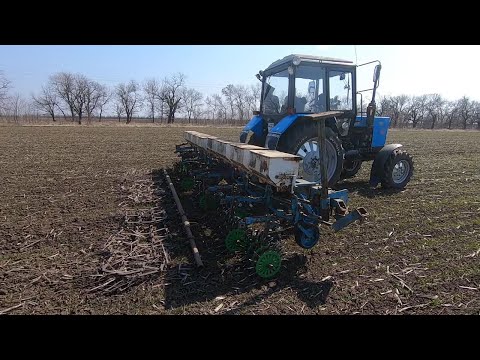 Видео: Первый рабочий день . Боронование пшеницы МТЗ 82.1