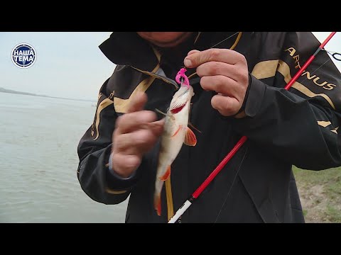 Видео: Отводной поводок Ловля окуня  У друга в Юрге